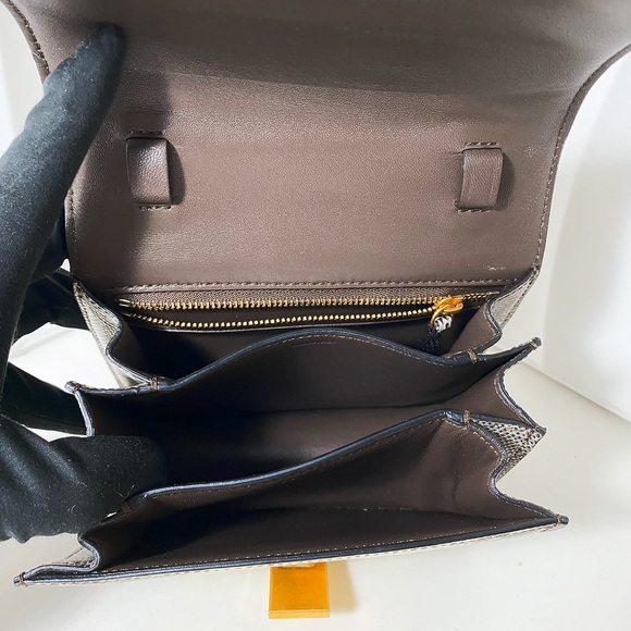 CELINE Classic Box Small Bag Himalayan Lizard Skin - Picture 8 of 11